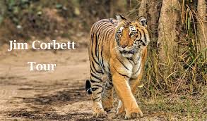 Best Kathgodam - Jim Corbett National Park Tour Package